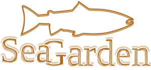 Logo___Transprant___Background___PNG